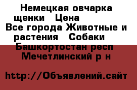 Немецкая овчарка щенки › Цена ­ 20 000 - Все города Животные и растения » Собаки   . Башкортостан респ.,Мечетлинский р-н